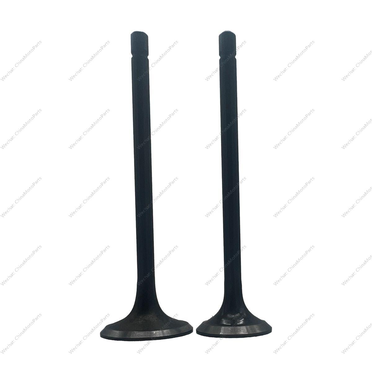 INTAKE AND EXHAUST VALVES
