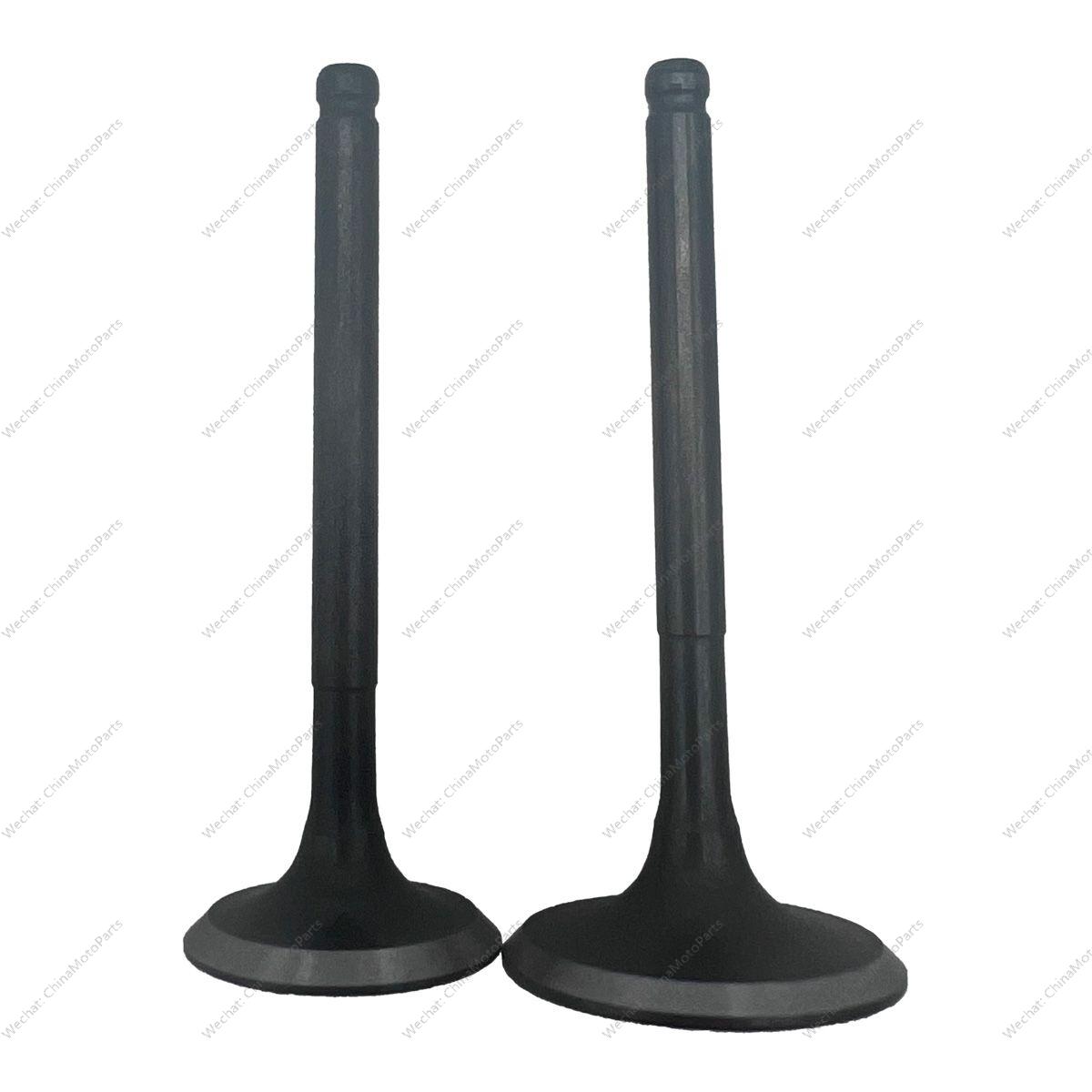 INTAKE AND EXHAUST VALVES